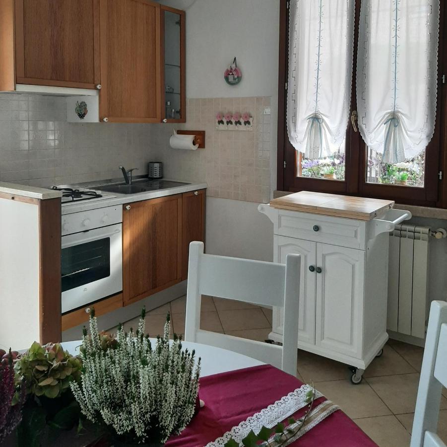 La Civetta Appartamento Con Giardino E Parcheggio Nave  Dış mekan fotoğraf