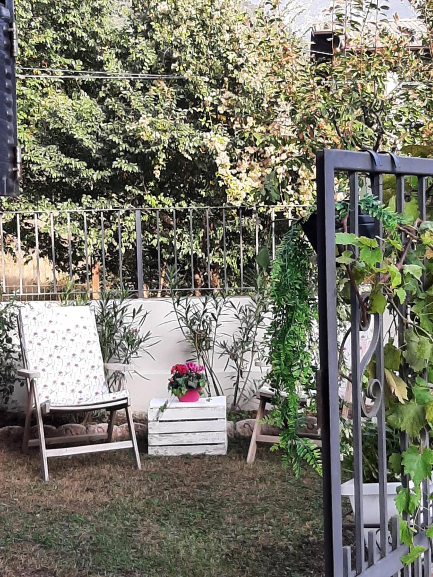 La Civetta Appartamento Con Giardino E Parcheggio Nave  Dış mekan fotoğraf